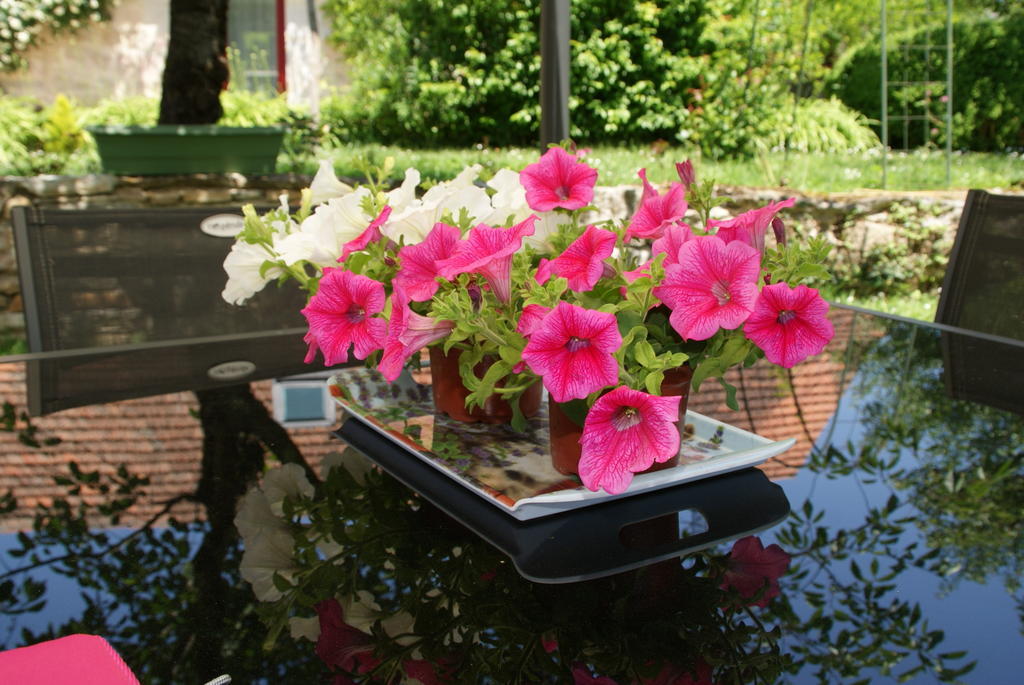 Au Mas De Gamet Bed & Breakfast Theminettes Exterior photo