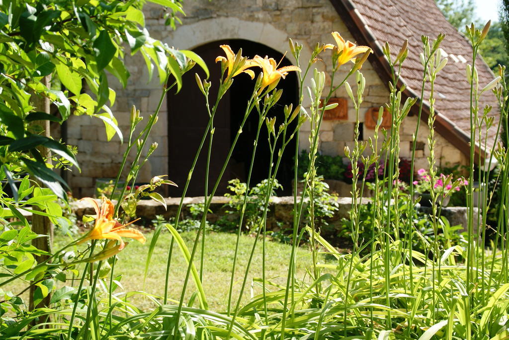 Au Mas De Gamet Bed & Breakfast Theminettes Exterior photo
